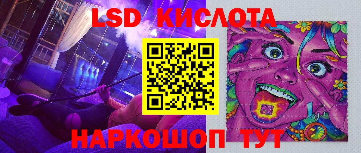 МЕФ Губкин