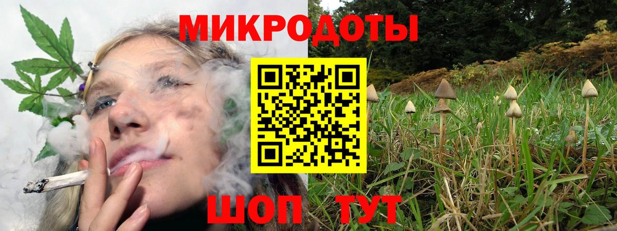 Губкин  Галлюциногенные грибы Magic Shrooms  Вход с VPN 